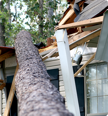 Royse City's Storm Damage Experts